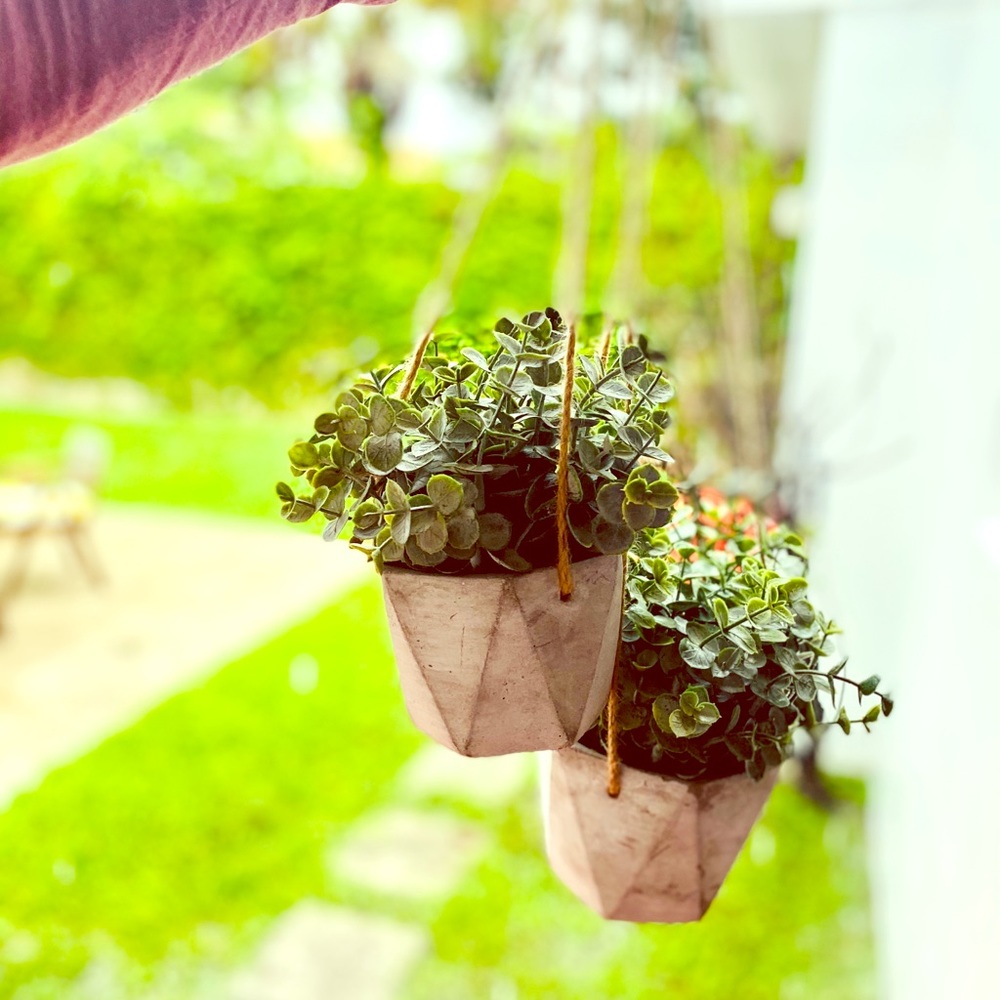New! Cute & isometric Concrete hanging planter🌱🎉